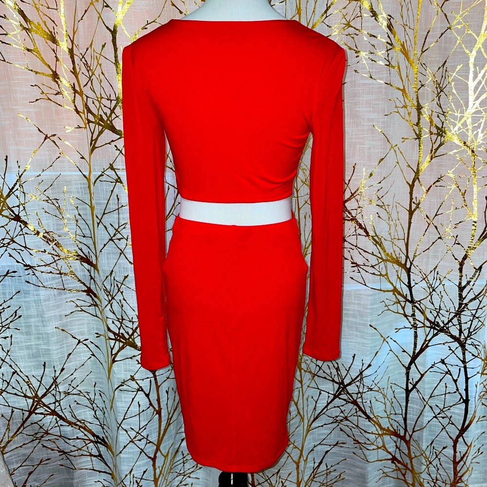 Red Express - Picture 2 of 2